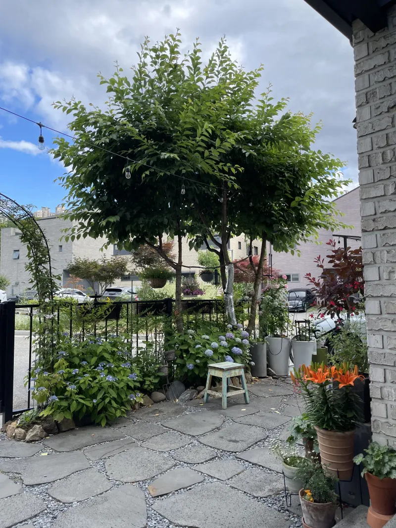 [Yongin] Detached house near Sanghyeon Station in Gwanggyo 19