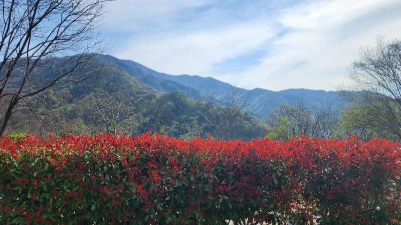 [Gurye] A tranquil house with a beautiful garden perfect for a trip to Gurye 44