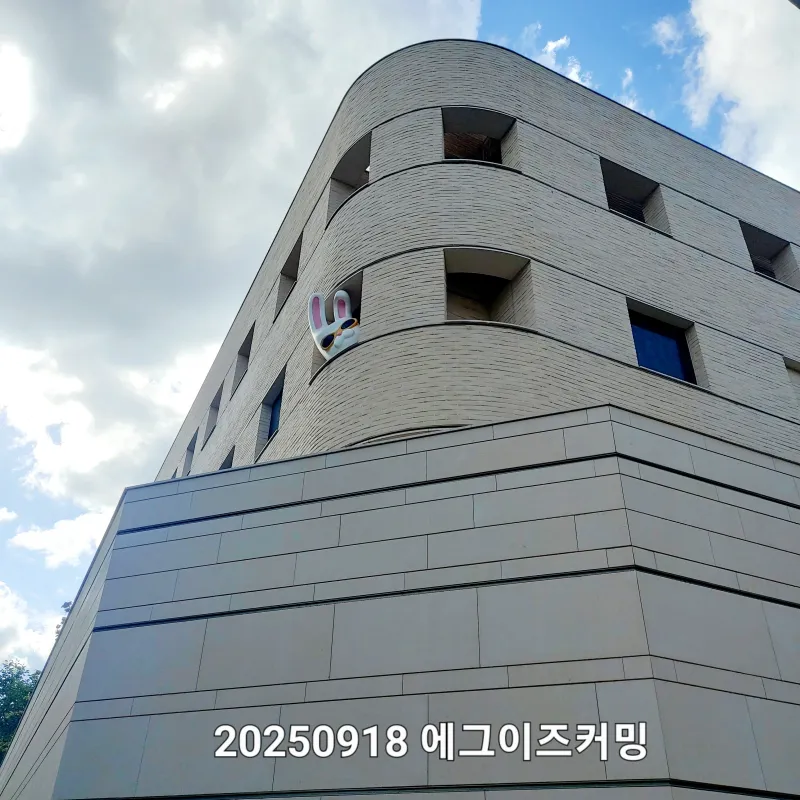 [Gangnam, Seoul] Gangnam Nonhyeon Shinsa Stay Opening Special 37