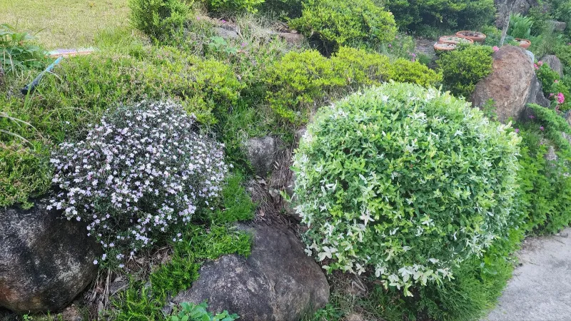 [Gurye] A tranquil house with a beautiful garden perfect for a trip to Gurye 45