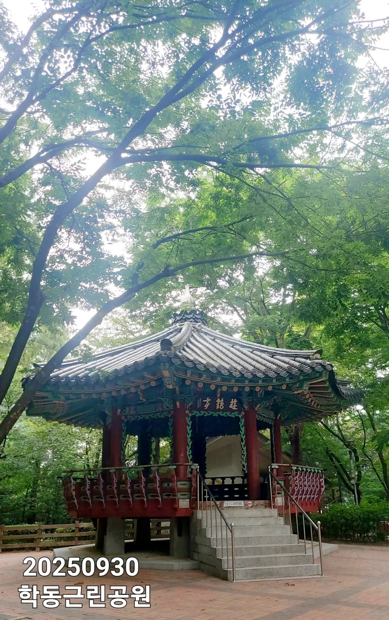 [Gangnam, Seoul] Gangnam Nonhyeon Shinsa Stay Opening Special 36