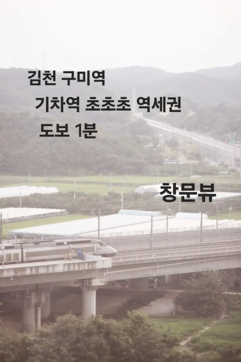 [Gimcheon] Fully furnished studio apartment, 1 minute from Gimcheon-Gumi Station 16