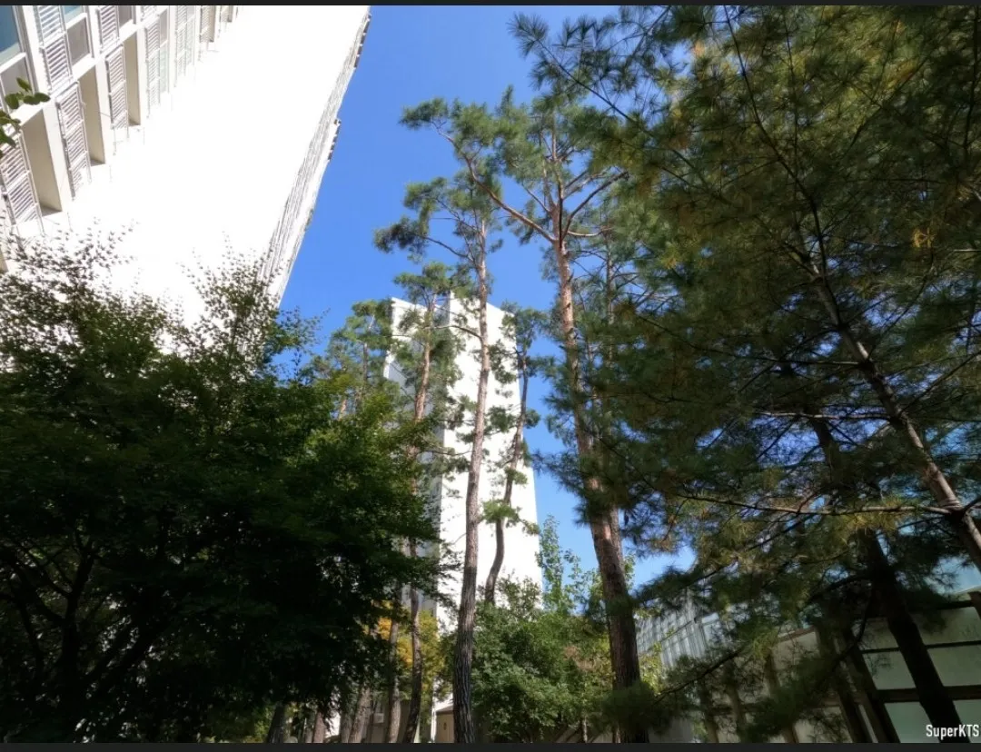 Eonnam-dong Transit-Friendly Three-Bedroom Apartment
