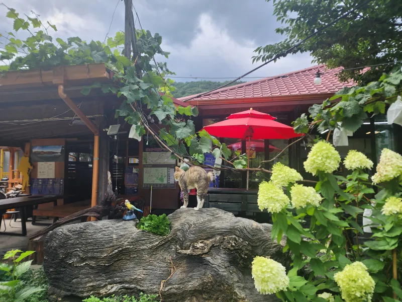 [Namwon] C101, an eternal healing sanctuary located in Jirisan Baemsagol 11