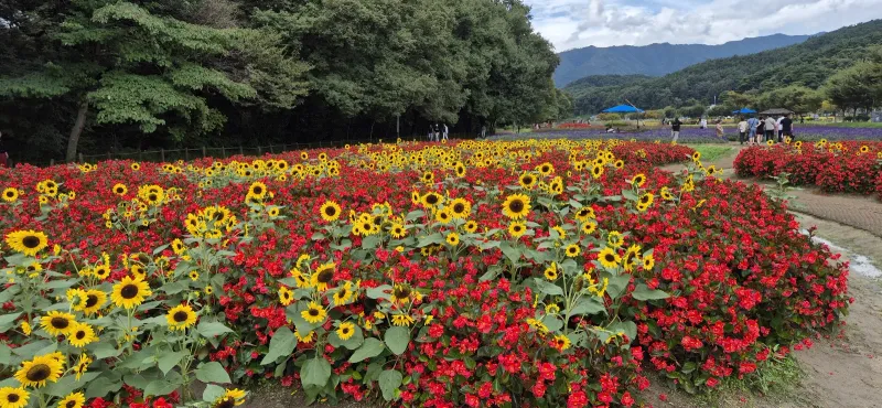 [Namwon] C101, an eternal healing sanctuary located in Jirisan Baemsagol 18