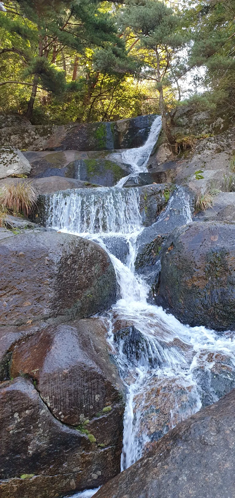 [Namwon] C101, an eternal healing sanctuary located in Jirisan Baemsagol 12