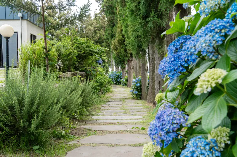 [Namwon, Seogwipo] Cafe-like feel - A quiet, independent pension in a rural village surrounded by tangerine trees 32