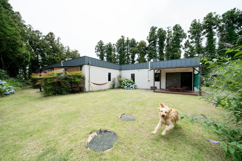 [Namwon, Seogwipo] A quiet rural village surrounded by tangerine orchards, a Nordic-style detached house_White Room 42