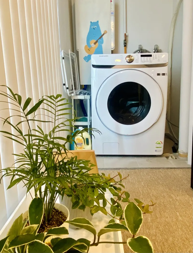 [Jeonju] A quiet and clean one-room apartment located in the Seosin central living area. 26
