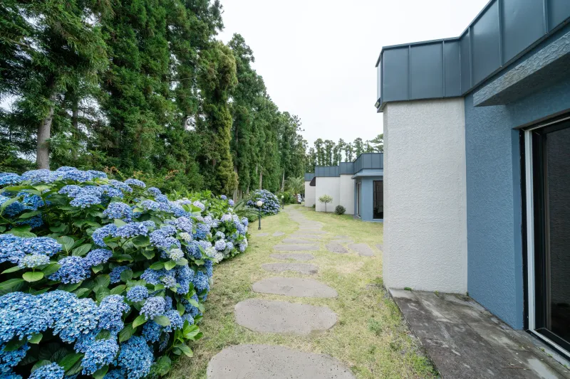 [Namwon, Seogwipo] A quiet rural village surrounded by tangerine orchards, a Nordic-style detached house_White Room 39