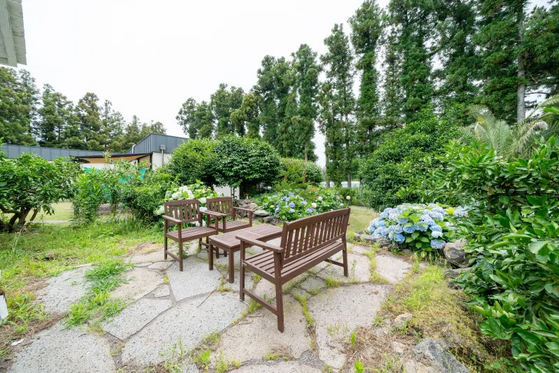 [Namwon, Seogwipo] Cafe-like feel - A quiet, independent pension in a rural village surrounded by tangerine trees 34