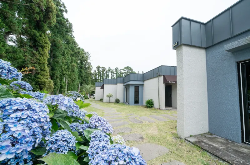 [Namwon, Seogwipo] Cafe-like feel - A quiet, independent pension in a rural village surrounded by tangerine trees 33