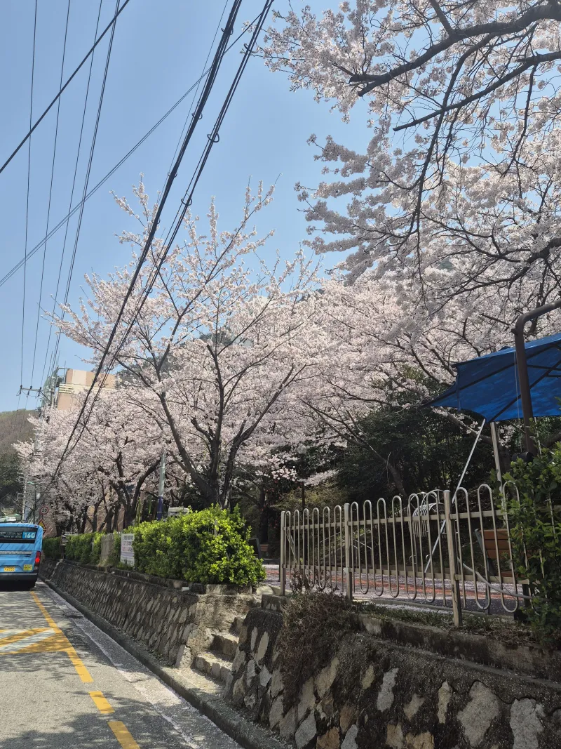 [Buk-gu, Busan] Bbeong View, a warm accommodation 11