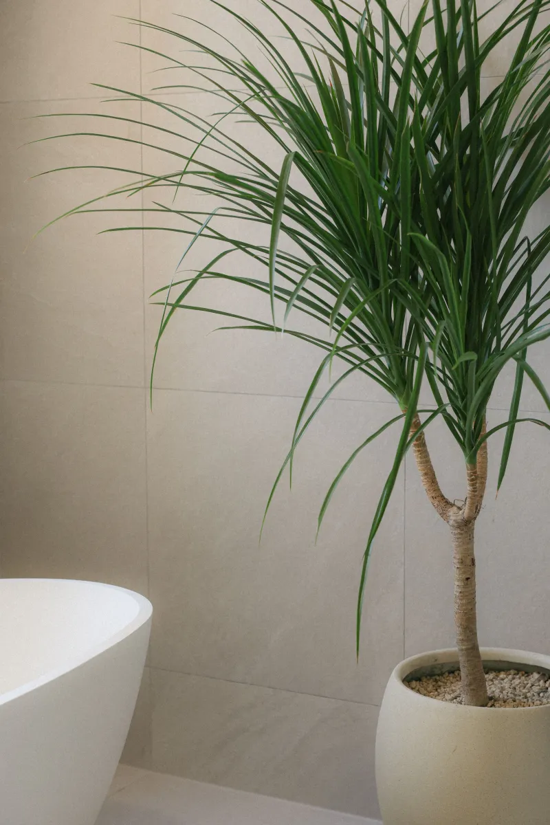 [Seongsan, Seogwipo] Ocean View Pool Villa #Four-Season Heated Pool #Private Villa with Yard 23