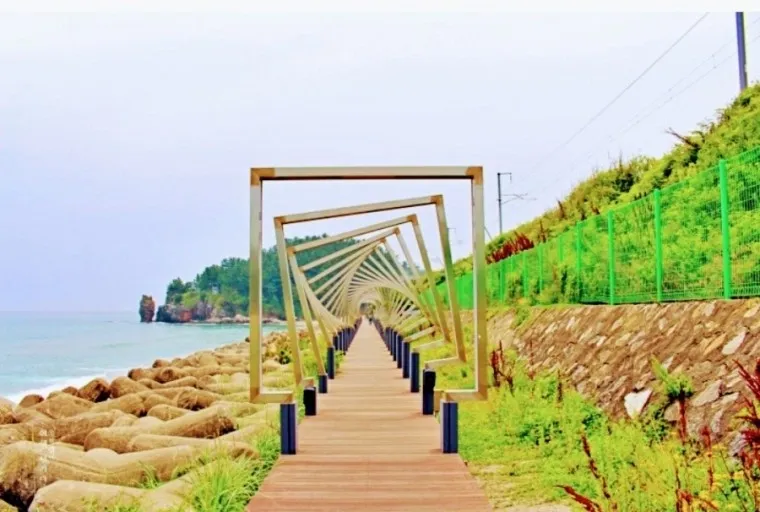 [Donghae] East Sea beyond the window, Ocean View Duplex Separated Room 305 21