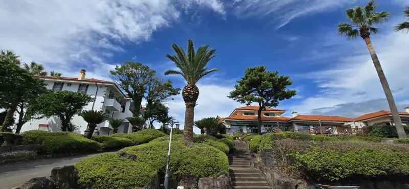 [Saekdal-dong, Seogwipo] 25 Pyeong 2 Rooms + 2 Bathrooms + 4 Beds Middle Door B101 30