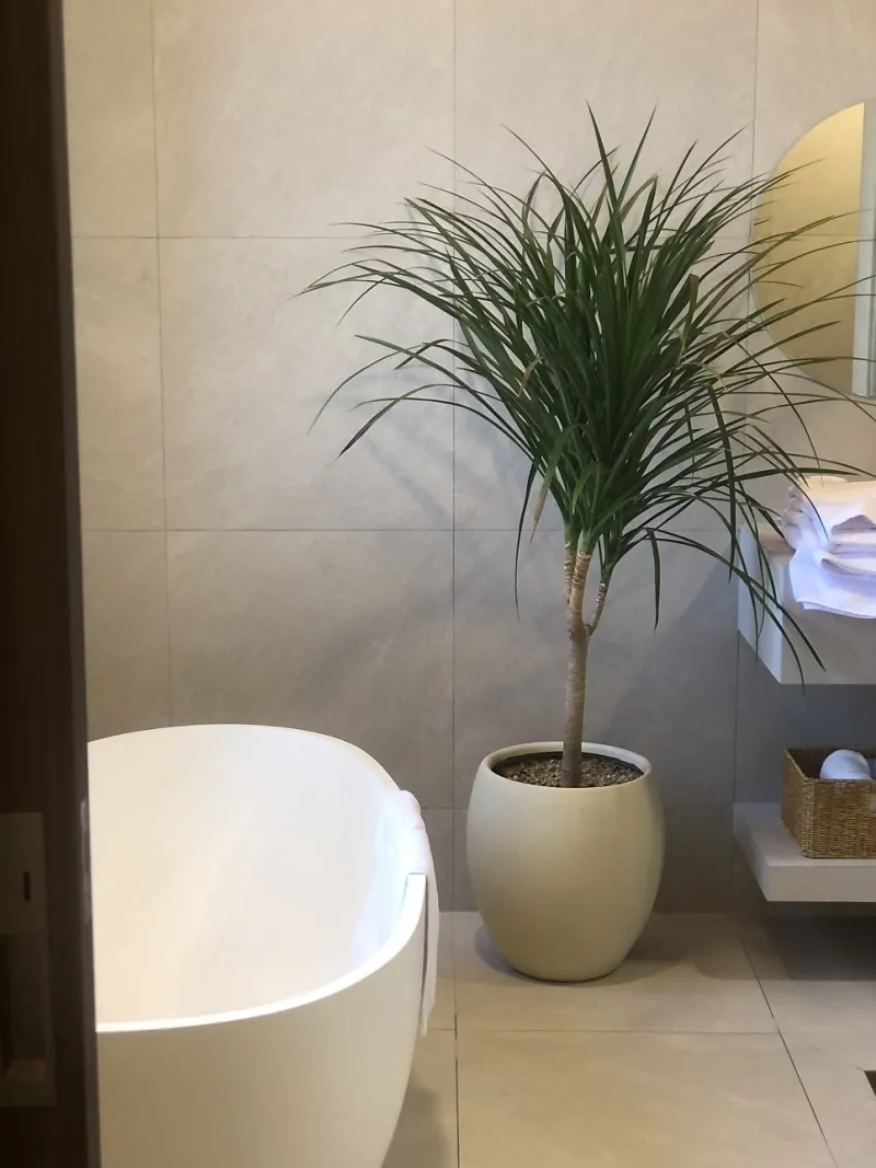 [Seongsan, Seogwipo] Ocean View Pool Villa #Four-Season Heated Pool #Private Villa with Yard 21