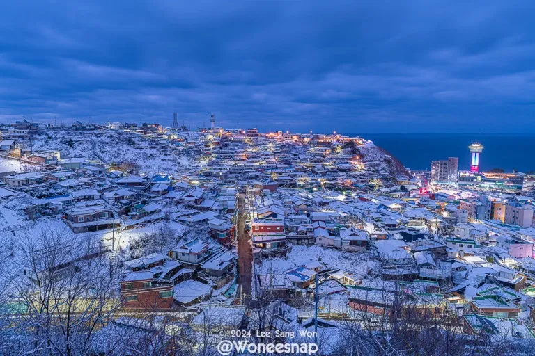 [Donghae] East Sea beyond the window, Ocean View Duplex Separated Room 305 16