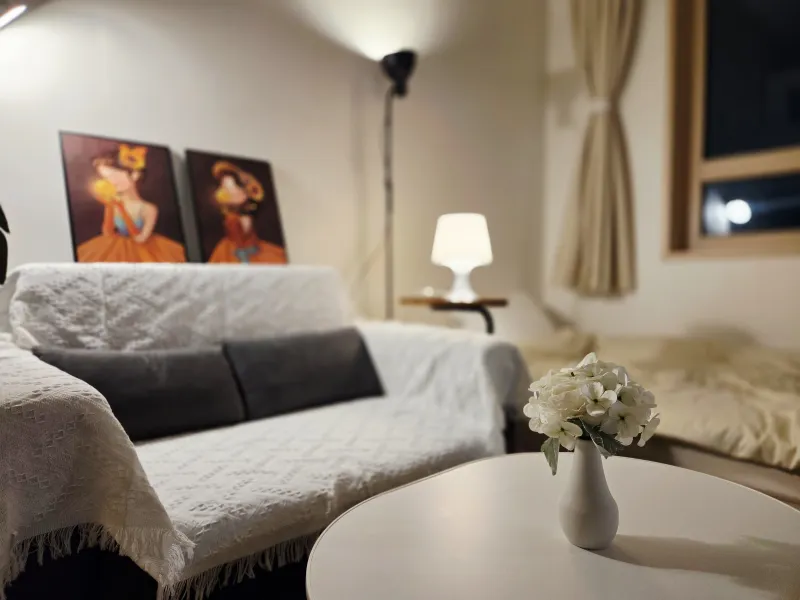[Jung-gu, Seoul][30 seconds from Shindang Station] Gwanghwamun Jongno DDP/City View/Duplex 3-4 person/Pets allowed 21