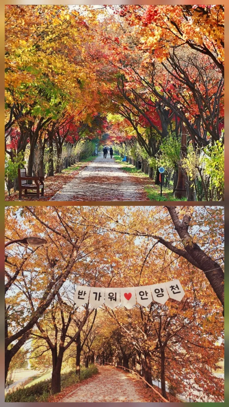 [Gwangmyeong] Haan-dong Olsuri two-room apartment 19