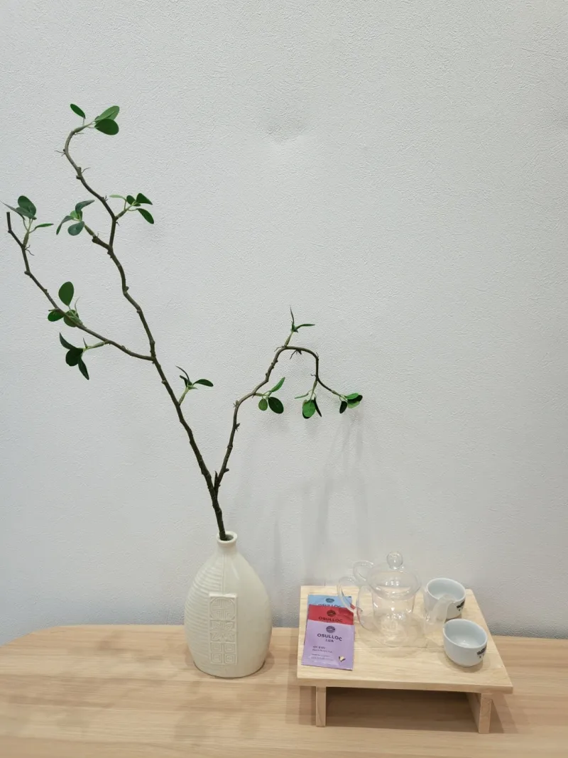 [Yeongdo, Busan] A picturesque gallery house with bamboo and a greenhouse 8