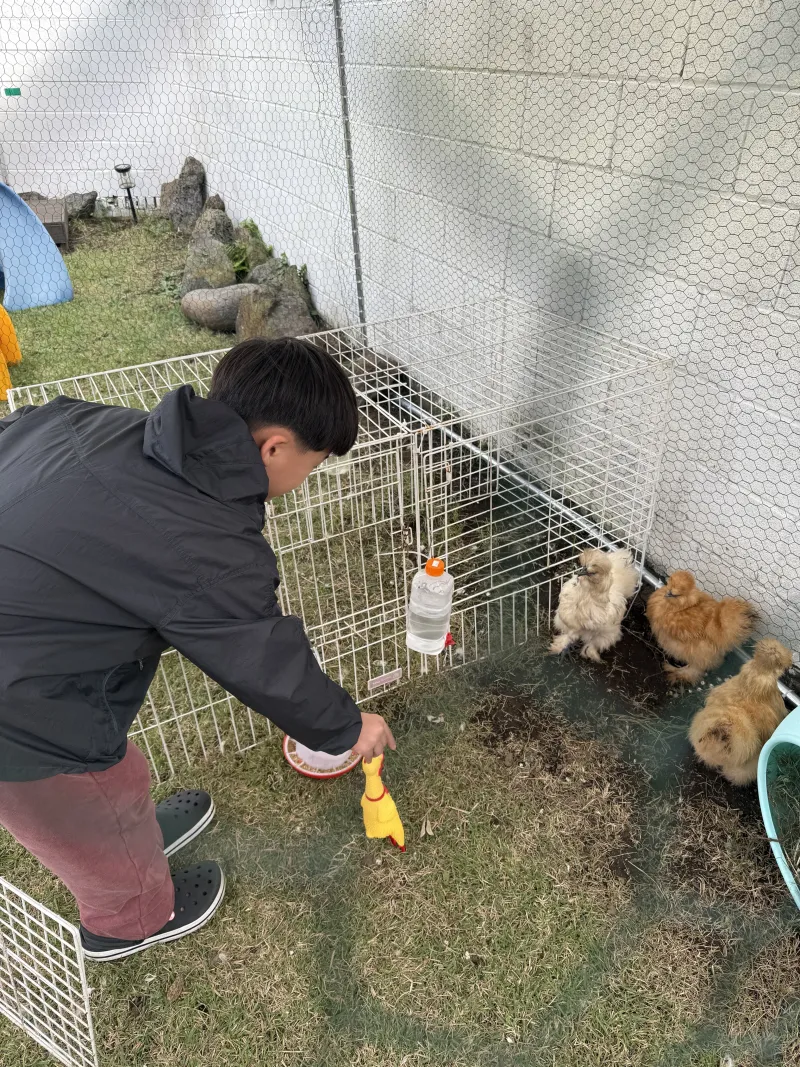 [제주 애월] 조용한마을안 애월해안도로 마당있는 독채민박 51
