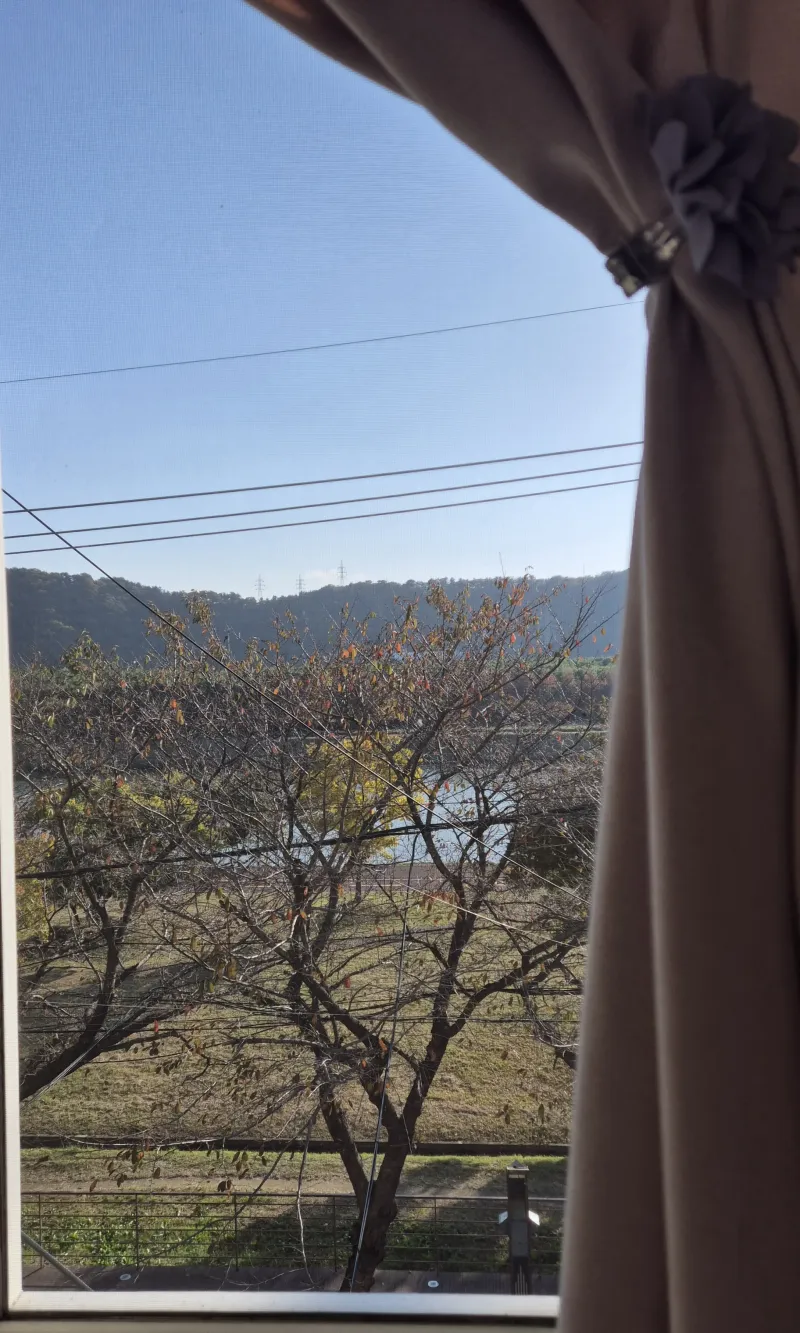 [울산 중구] 태화강 가든 (예쁜 산책로,벗꽃,낙엽,강뷰) 7
