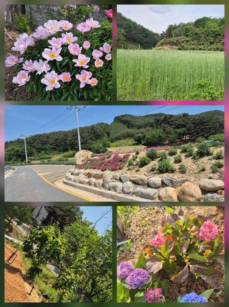 [강원 양양] 레트로 갬성 별빛이 내리는 45