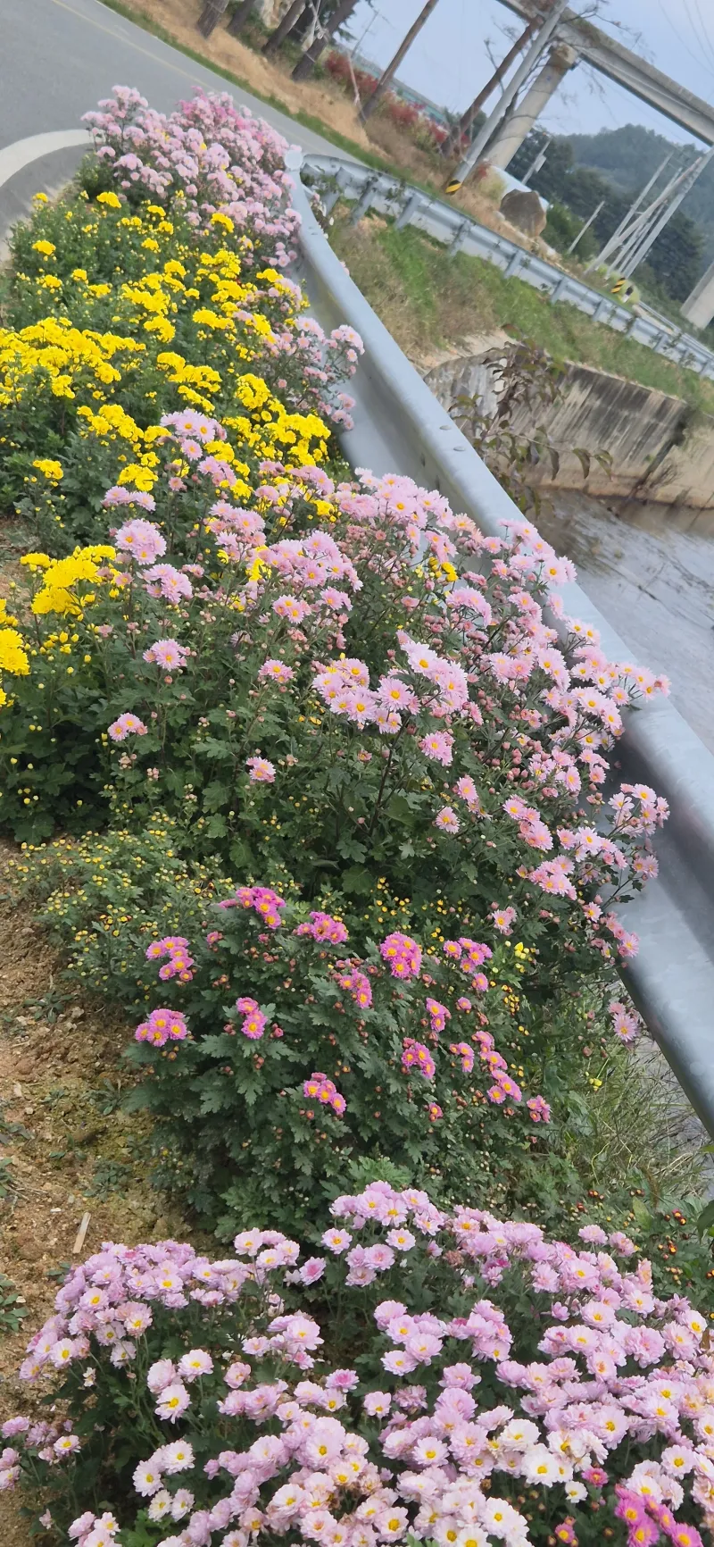 [강원 양양] 레트로 갬성 별빛이 내리는 47