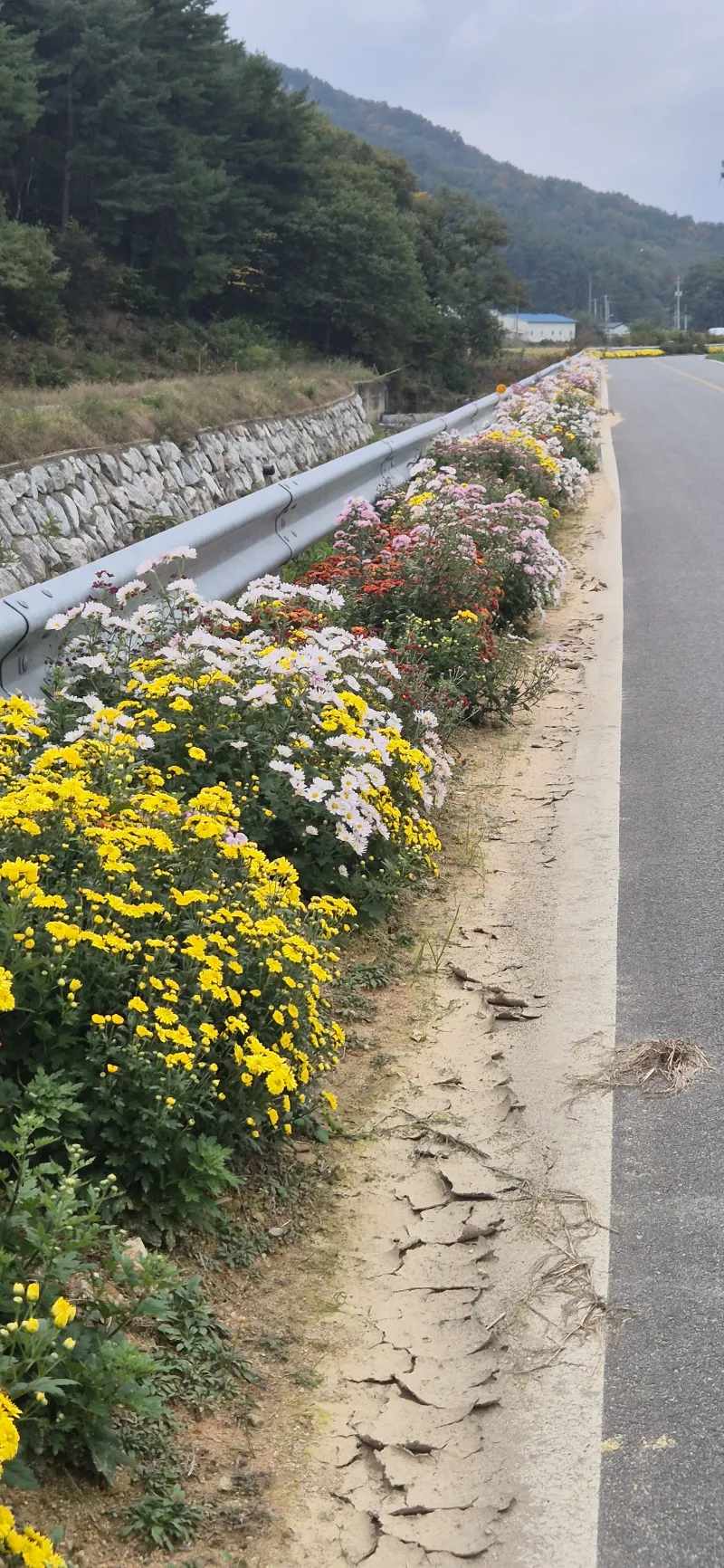 [강원 양양] 레트로 갬성 별빛이 내리는 46