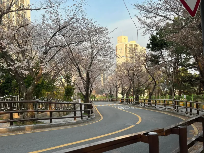[부산 사하] 부산의선셋 24