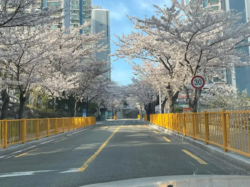 [부산 사하] 부산의선셋 29