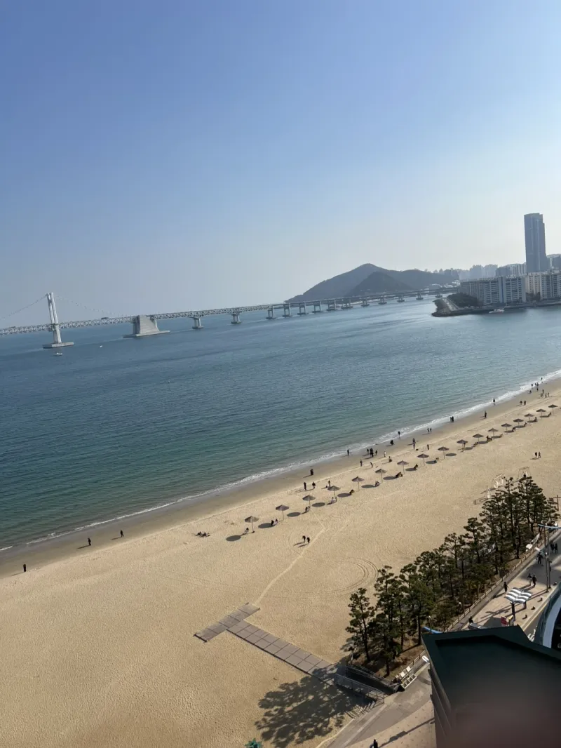 [부산 수영] 광안리 오션뷰 초특가 15