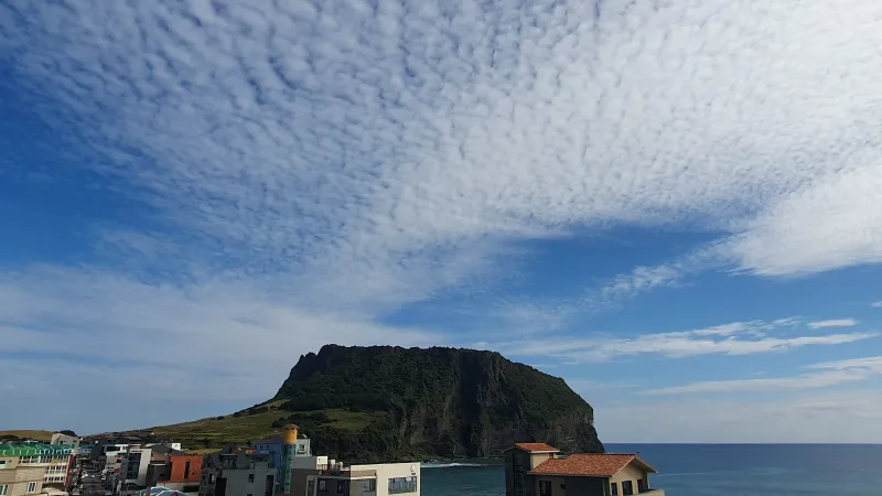 [Seongsan, Seogwipo] Sunrise Peak Penthouse Ocean View Two-Room Duplex Residence 28