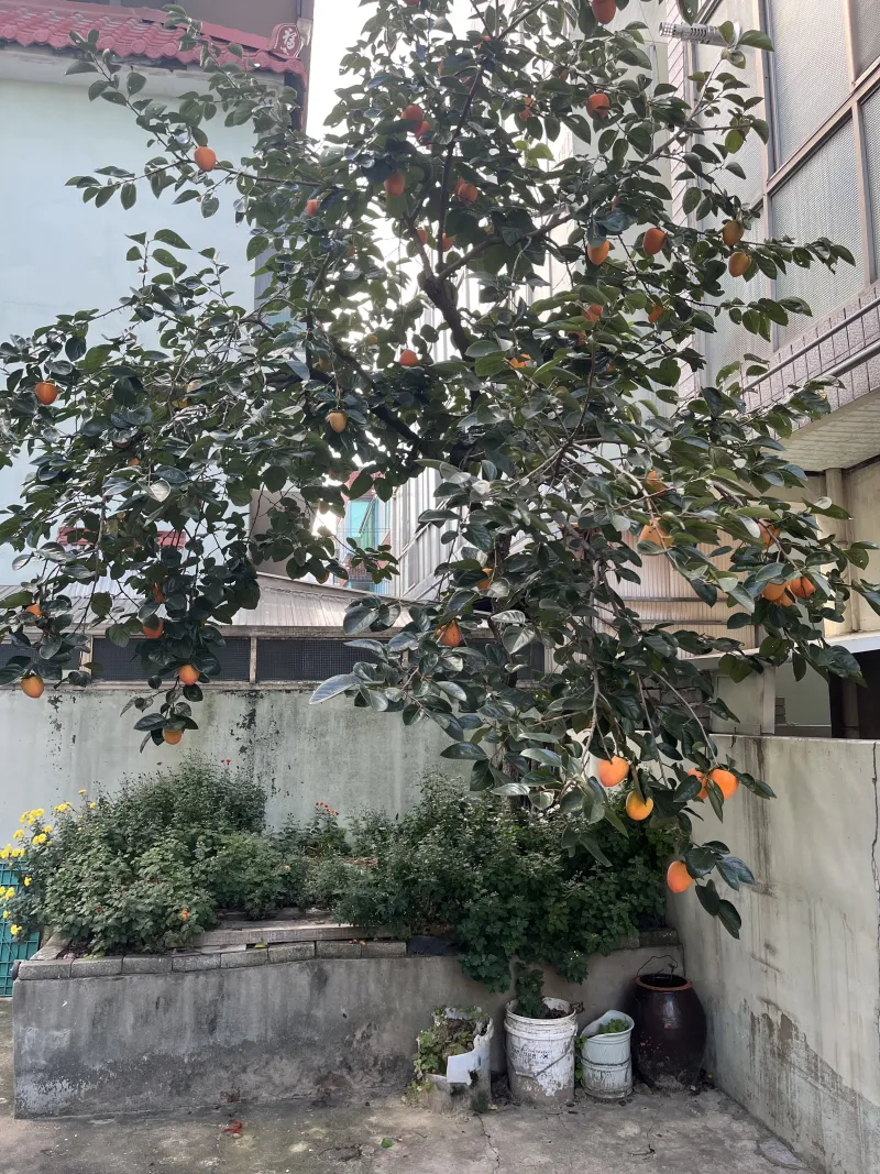[Gyeongsan] Room 2, 15 minutes walk from Gyeongsan Station, 10 minutes from Jungsanji, 10 minutes from Saweol Station on Line 2 15