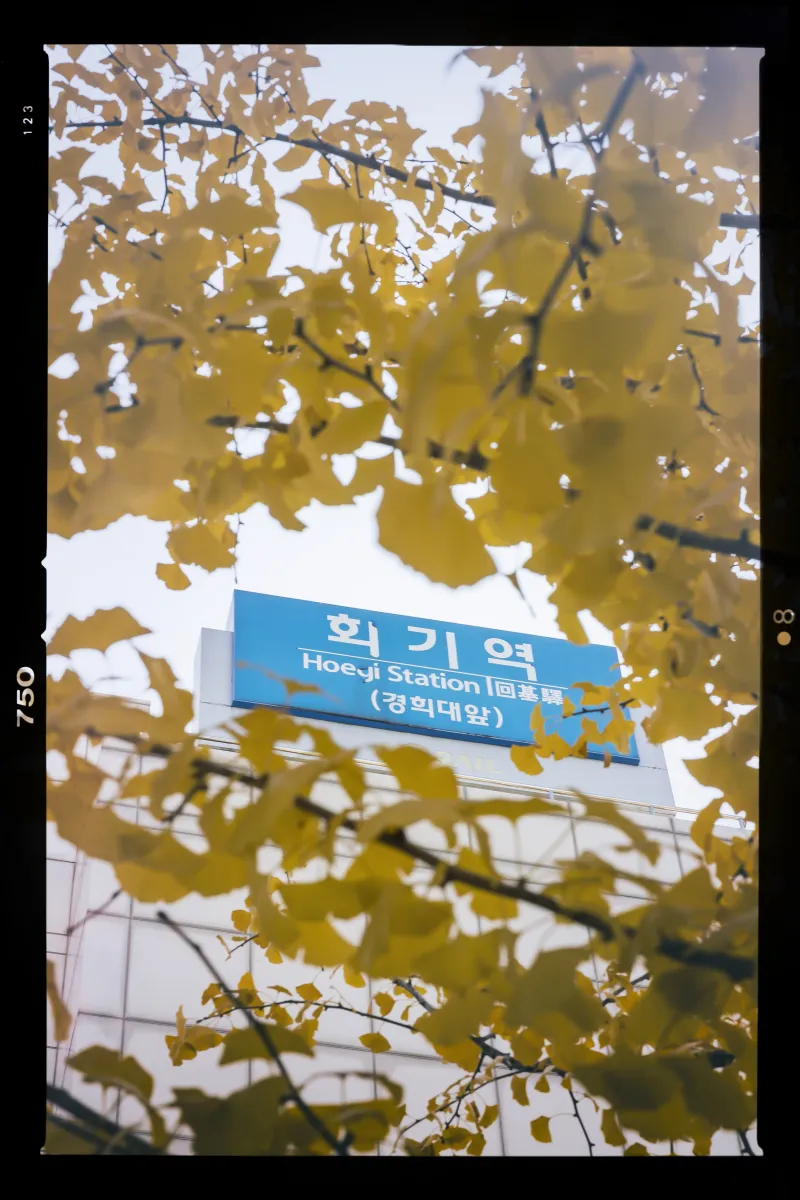 [Dongdaemun, Seoul] 3-minute session, clean, full-option 36
