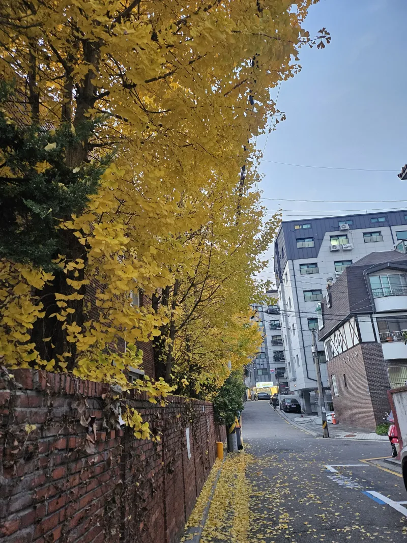 [Gangnam, Seoul] 5 Minutes from Eonju Station, Gangnam Station, Sinnonhyeon Hospital Tour, Duplex Room 21