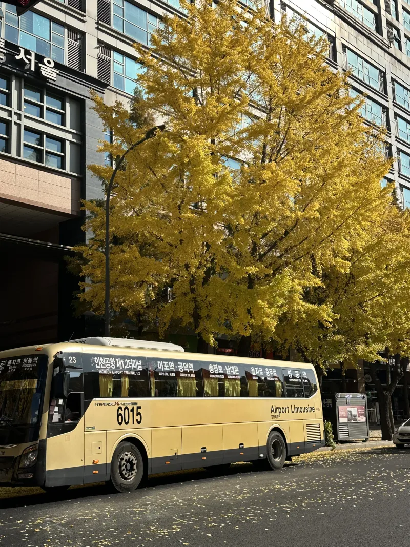 [Jung-gu, Seoul] Seoul Station Duplex City View 14