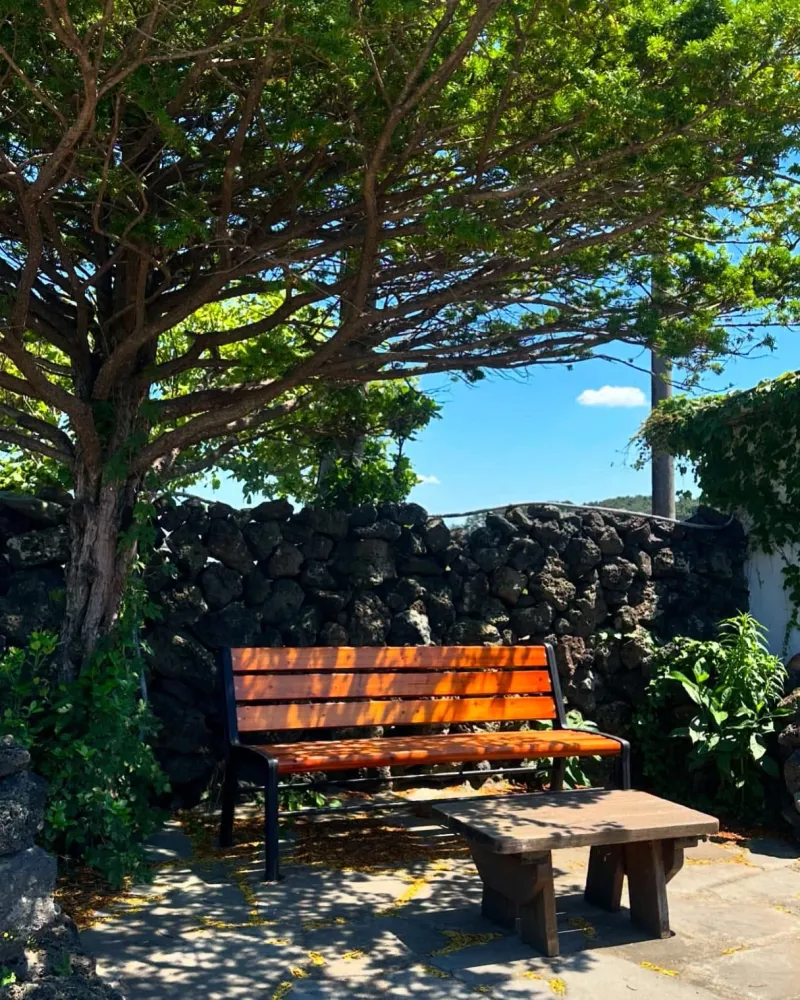 [Gujwa, Jeju] A detached house with the essence of Jeju, embracing the appearance of an old house. 17