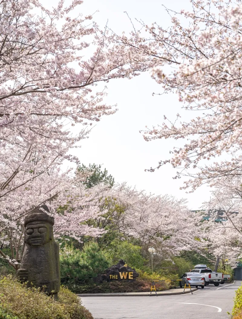 [Hoesu-dong, Seogwipo] Seogwipo: Korea's First Premium Health Resort + Superior Twin Rooms with Forest Views 23