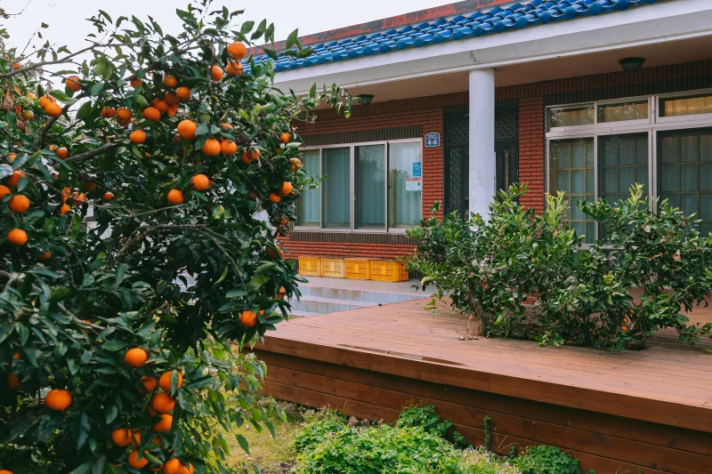 [Aewol, Jeju] Grandmother's Western-style house with a small forest and outdoor bathtub in the village 42