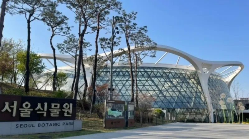[Gangseo, Seoul] Magoknaru, Magok Station, Balsan Station, Gimpo Airport Station, Hongdae, Gangseo-gu Hot Place Jun 4 15