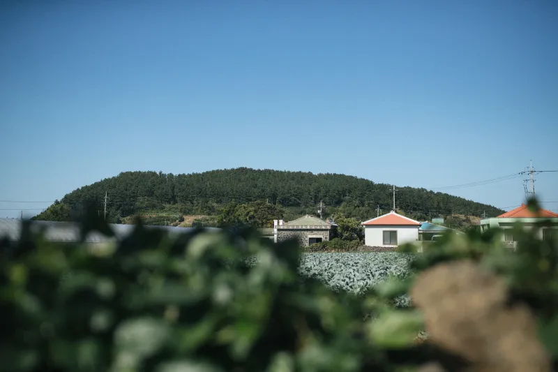[Aewol, Jeju] Grandmother's Western-style house with a small forest and outdoor bathtub in the village 45