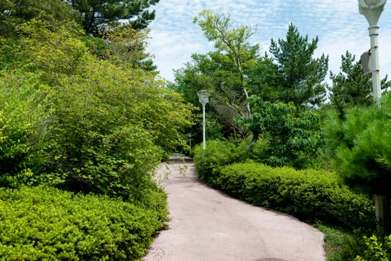 [Hoesu-dong, Seogwipo] Seogwipo: Korea's First Premium Health Resort + Superior Twin Rooms with Forest Views 36