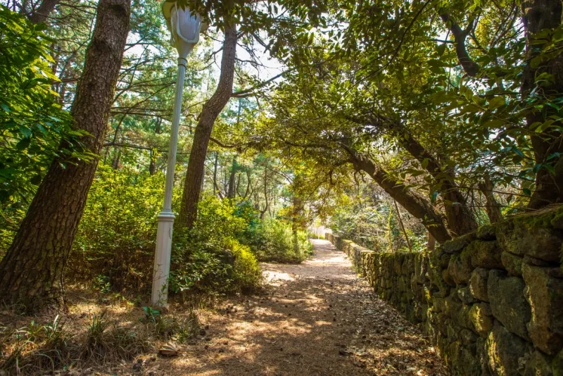 [Hoesu-dong, Seogwipo] Seogwipo: Korea's First Premium Health Resort + Superior Twin Rooms with Forest Views 35
