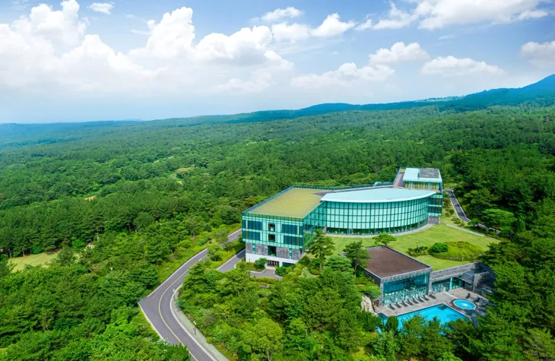 [Hoesu-dong, Seogwipo] Seogwipo: Korea's First Premium Health Resort + Superior Twin Rooms with Forest Views 12