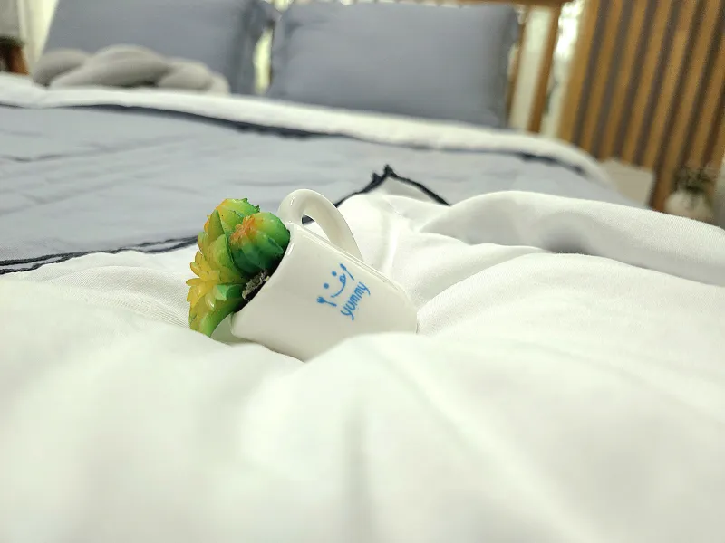 [Nowon, Seoul] 2-room apartment 10 minutes from Subway Station Line 7 12
