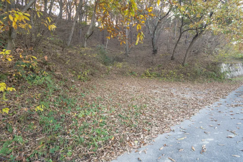 [충북 옥천] 평화로운 독채, 대전에서 차로 40분 내외 95