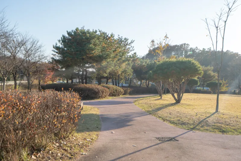 [충북 옥천] 평화로운 독채, 대전에서 차로 40분 내외 100