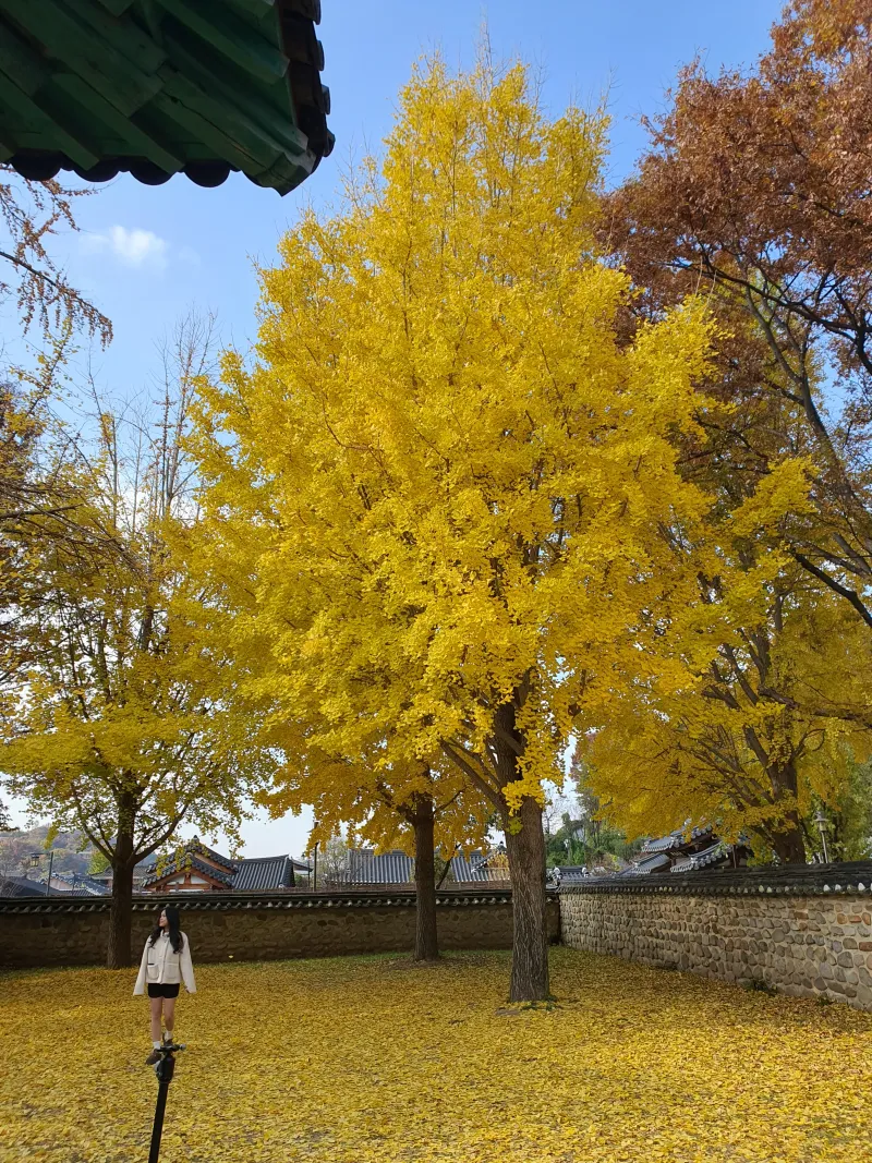 [Jeonju] Three-room Jay House 1, 1-minute walk from Hanok Village 23